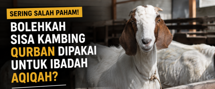 Sering Salah Paham! Bolehkah Sisa Kambing Qurban Dipakai untuk Ibadah Aqiqah?