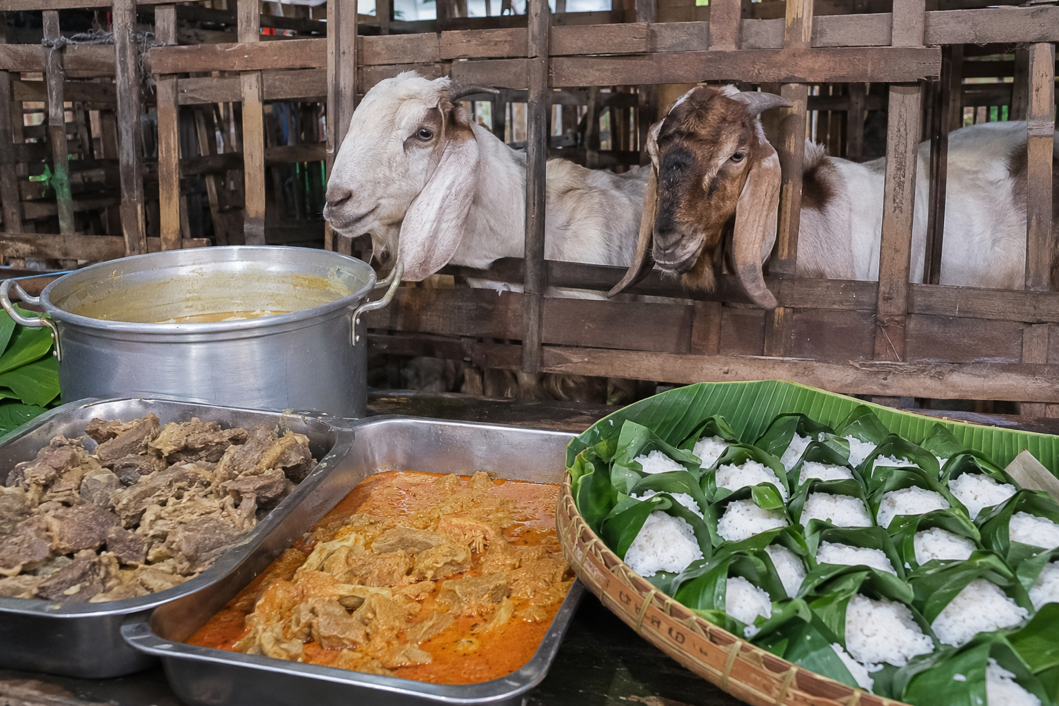biaya aqiqah anak laki-laki 2026 panduan 4 paket harga