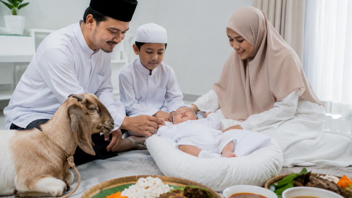kambing sehat untuk perbedaan aqiqah anak laki-laki dan perempuan