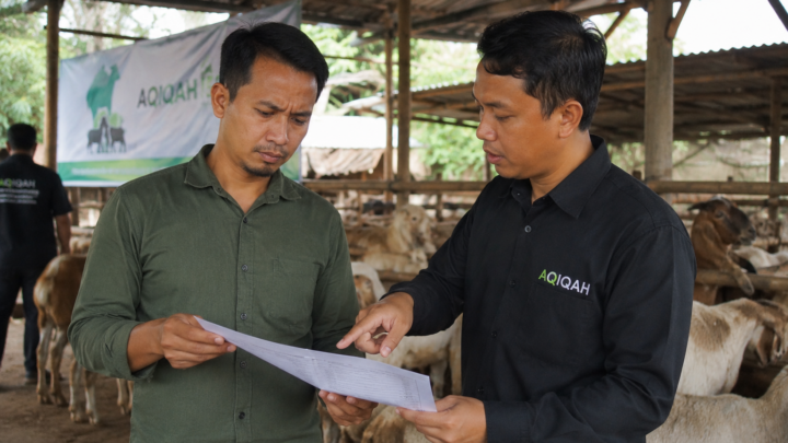 waspada jasa aqiqah abal-abal modus penipuan harga murah