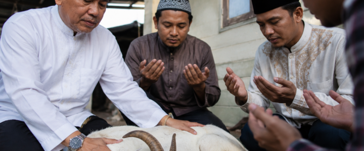 Aqiqah untuk Anak yang Sudah Dewasa: Siapa yang Bertanggung Jawab & Bagaimana Hukumnya?