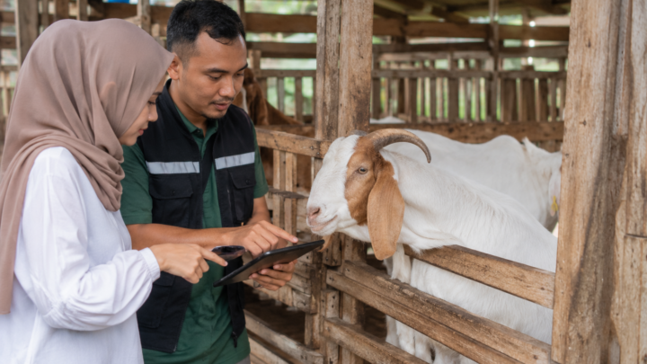 tips memilih jasa aqiqah terpercaya 2026