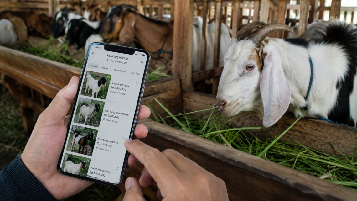 aplikasi titip beli kambing aqiqah di smartphone