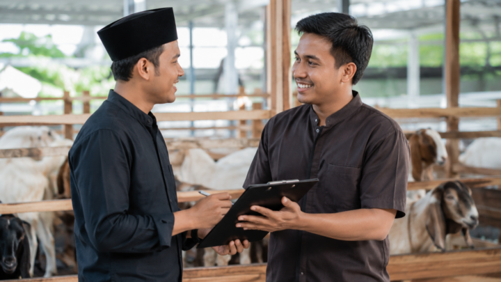 Penyedia jasa aqiqah terpercaya menyiapkan kambing sehat, proses penyembelihan sesuai syariat, serta paket nasi box yang higienis