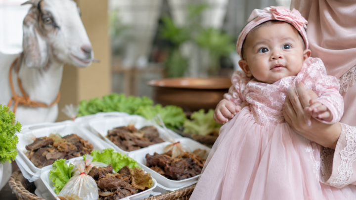 Harga Paket Aqiqah Anak Perempuan 2026 dengan satu ekor kambing dan paket nasi box lengkap untuk acara aqiqah keluarga.