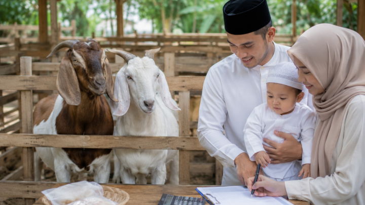 Dua ekor kambing sehat untuk persiapan biaya aqiqah anak laki-laki 2026 di peternakan