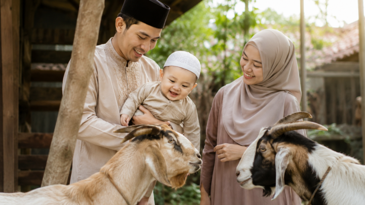 Paket aqiqah 2 kambing 2026 untuk anak laki-laki