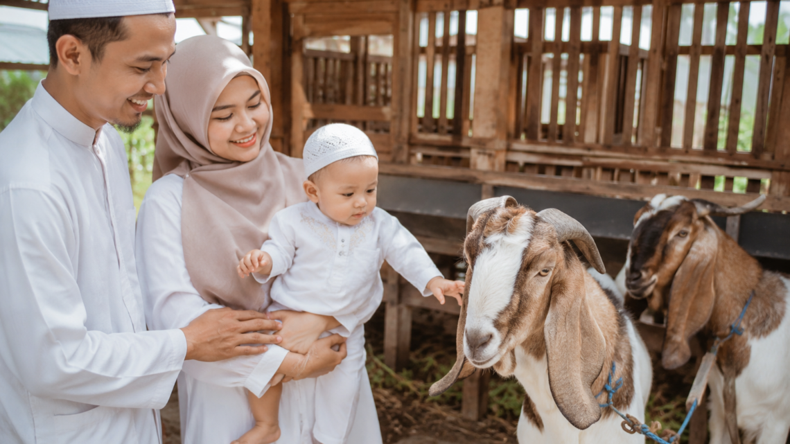 Ilustrasi aqiqah anak laki-laki dengan dua ekor kambing sehat sesuai anjuran dalam Islam
