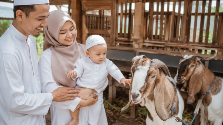 Ilustrasi aqiqah anak laki-laki dengan dua ekor kambing sehat sesuai anjuran dalam Islam