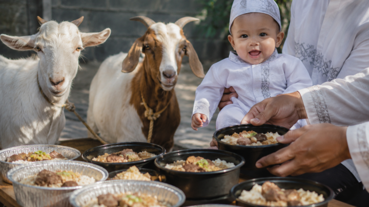 Paket aqiqah anak laki-laki 2026 dengan dua kambing dan hidangan aqiqah
